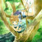  1girl animal_ears barefoot book brown_hair fairy feet in_tree kurafuji_sachi short_hair solo tail tree water 