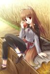 1girl animal_ears apple brown_hair cart food fruit holding holding_fruit holo long_hair red_eyes sakaki_maki solo spice_and_wolf tail wheat wolf_ears wolf_tail 