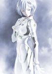  ayanami_rei blue_hair lowres neon_genesis_evangelion pale_skin plugsuit red_eyes short_hair 