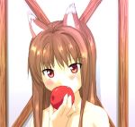  1girl animal_ears apple eating fang food fruit holding holding_fruit holo lowres nagisa_manoa solo spice_and_wolf wolf_ears 