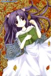  1girl book clannad dress hair_bobbles hair_ornament highres ichinose_kotomi leaf patoto solo two_side_up 