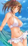  1girl bikini breasts brown_eyes brown_hair cleavage large_breasts midriff outdoors ponytail poso sky solo swimsuit 