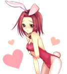  
bunny_tail animal_ears blush bunny_girl bunnysuit code_geass kallen_stadtfeld mizunomoto pantyhose pink_hair rabbit_ears 