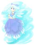  1girl cirno crossed_arms female solo the_embodiment_of_scarlet_devil touhou wings 