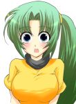  animated animated_gif blush casual green_eyes green_hair higurashi_no_naku_koro_ni lowres sonozaki_mion surprised suzuragi_karin 