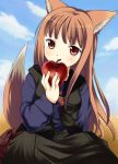  1girl animal_ears apple food fruit holding holding_fruit holo jimeko solo spice_and_wolf tail wolf_ears 