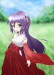  1girl bow clouds detached_sleeves grass hanyuu hazumi_otoya higurashi_no_naku_koro_ni horns japanese_clothes kimono long_hair miko nature outdoors purple_hair red_eyes red_hakama sky solo 