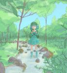  1girl female forest full_body kawashiro_nitori mokeo nature outdoors sky solo stream touhou water 