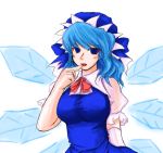  1girl cirno female grownup older solo touhou 