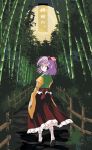  1girl bamboo bamboo_forest female flower forest fujitsubo hair_flower hair_ornament heida_no_akyuu hieda_no_akyuu japanese_clothes koto moon nature perfect_memento_in_strict_sense purple_hair solo touhou tree violet_eyes 