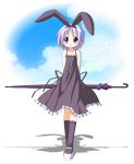  blue_eyes bunny_ears highres hiiragi_tsukasa lucky_star purple_hair rabbit_ears rindou_(awoshakushi) short_hair umbrella 