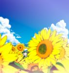  cloud flower flower_field green_hair hat kochiya_sanae sky sunflower touhou yamaguchi_takashi yamaguchi_yuu 