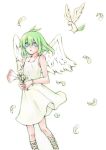 1girl angel angel_wings asahikawa_hiyori bird dress feathers green_hair skirt solo white_angel white_dress white_skirt wings 
