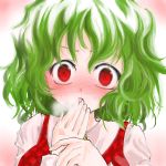  1girl blush face female green_hair hand_to_own_mouth kazami_yuuka messy_hair plaid plaid_vest red_eyes solo surprised touhou ugatsu_matsuki ugatsumatsuki youkai 