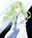  1girl blue_skirt detached_sleeves female frog_hair_ornament green_hair hair_ornament hair_tubes kaisen kochiya_sanae long_hair long_sleeves looking_away skirt skirt_set snake solo touhou yellow_eyes 