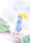  1girl barefoot blue_hair cirno dutch_angle female flower hydrangea outdoors rain raincoat sakaki_soshi solo teruterubouzu touhou umbrella wings 