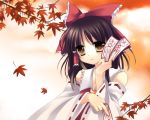  1girl autumn_leaves black_hair blush brown_eyes collarbone detached_sleeves expressionless female hakurei_reimu holding leaf long_sleeves looking_at_viewer ofuda outdoors plant ribbon-trimmed_sleeves ribbon_trim short_hair solo touhou tree upper_body 