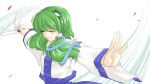  1girl animal blue_skirt blush closed_eyes closed_mouth detached_sleeves eyebrows eyebrows_visible_through_hair female fingernails green_hair holding kochiya_sanae long_sleeves oonusa outstretched_arms palms red_eyes skirt smile snake solo touhou upper_body vest 