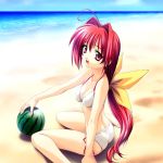  1girl beach bikini food fruit holding holding_fruit kagami_sumika long_hair muvluv norizou_type-r ocean side-tie_bikini solo swimsuit watermelon 