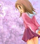  1girl azumanga_daioh blush cherry_blossoms kasuga_ayumu looking_back lowres outdoors school_uniform serafuku solo 