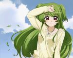  clouds green_hair inukami! jewelry long_hair necklace outdoors red_eyes sky smile tomooka_shinpei youko_(inukami) 