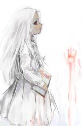  blood book dress el elysion red_eyes sound_horizon white_dress white_hair 