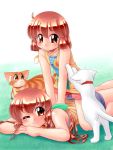  2girls book breasts cat massage multiple_girls original siblings sisters small_breasts sweater zan 