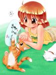  arm_support cat fan grass lying on_stomach orange_eyes orange_hair original paper_fan tank_top uchiwa zan 