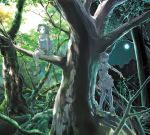  absurdres forest highres in_tree nature original scenery sitting sitting_in_tree tree yoshizuki_kumichi 