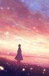  1girl ahoge backlighting blurry capelet clouds cloudy_sky commentary depth_of_field fantasy from_behind grass lake leaf light_particles looking_afar original robe sakimori_(hououbds) scenery short_hair sky solo water 