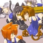  5girls animal_ears cat_ears cat_tail multiple_girls swimsuit tail thigh-highs 