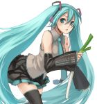  hatsune_miku long_hair spring_onion thigh-highs twintails very_long_hair vocaloid yuuryuu_nagare 