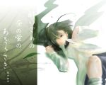  1girl androgynous antennae aojiru_(shiro_to_kuro_no_mukyou) aoziru cape female green_eyes green_hair reverse_trap solo touhou wriggle_nightbug 