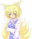  1girl animal_ears blush female fox_ears fox_tail solo surcoat tail touhou yakumo_ran 