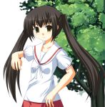  1girl brown_eyes brown_hair long_hair minami-ke minami_kana odaya odayan school_uniform skirt solo tree twintails 