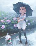  1girl blonde_hair dress female flower full_body hydrangea lowres nature outdoors plant rain sky solo thigh-highs umbrella weno weno&#039;s_blonde_original_character zettai_ryouiki 