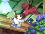  1girl animal_ears book brown_eyes brown_hair cat_ears cat_tail chen crayon drawing earrings female flower hat hydrangea jewelry long_sleeves lying mitamano multiple_tails on_stomach pillow_hat rain short_hair solo tail tatami teruterubouzu touhou veranda yakumo_ran 