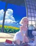  1girl clouds dress electric_fan flower food fruit lowres original salt sky solo summer sunflower watermelon weno weno&#039;s_blonde_original_character 