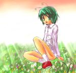 1girl antennae female flower footwear full_body gradient gradient_background grass green_eyes green_hair nature no_pants outdoors plant red_shoes shirt shoes short_hair sitting sky socks solo touhou white_background wriggle_nightbug 