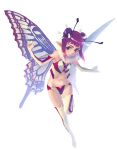  1girl antennae butterfly_wings fairy pointy_ears simple_background solo thigh-highs weno wings 