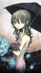  black_hair dress flower green_eyes hydrangea iris_(flower) long_hair original shouichi umbrella 