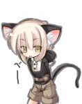  1girl animal_ears cat_ears cat_tail fate/stay_night fate_(series) omiso omiso_(omiso) saber saber_alter solo tail 