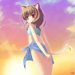  animal_ears bikini cat_ears cat_tail natsumiya_yuzu original sky swimsuit tail 