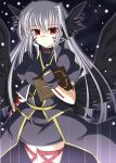  book facial_mark fingerless_gloves gloves head_wings lyrical_nanoha mahou_shoujo_lyrical_nanoha mahou_shoujo_lyrical_nanoha_a&#039;s multiple_wings nagami_yuu red_eyes reinforce silver_hair tome_of_the_night_sky wings 