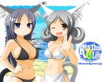  2girls animal_ears beach bikini blue_eyes blue_hair blush breasts brown_eyes cat_ears cleavage earth_ekami grey_hair groin large_breasts mound_of_venus multiple_girls navel one_eye_closed open_mouth original sarong sideboob silver_hair smile swimsuit under_boob wallpaper wink 