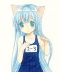  1girl animal_ears blue_eyes blue_hair cat_ears name_tag one-piece_swimsuit original school_swimsuit solo swimsuit usashiro_mani 