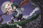  1girl antennae cape female fusuma green_eyes green_hair insect moon sliding_doors solo suichuu_hanabi touhou wriggle_nightbug 