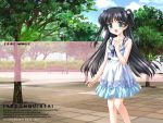 1girl black_hair blush dress makino_momiji outdoors reconquista smile solo 