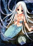  00s 1girl aquarian_age artbook highres jewelry long_hair mermaid monster_girl nanase_aoi necklace seven_colors_of_the_wind silver_hair solo water wet 