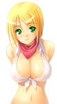  1girl akamaru blacksmith blacksmith_(ragnarok_online) blonde_hair breasts cleavage front-tie_top green_eyes halter_top halterneck huge_breasts large_breasts leaning_forward lowres ragnarok_online short_hair solo 